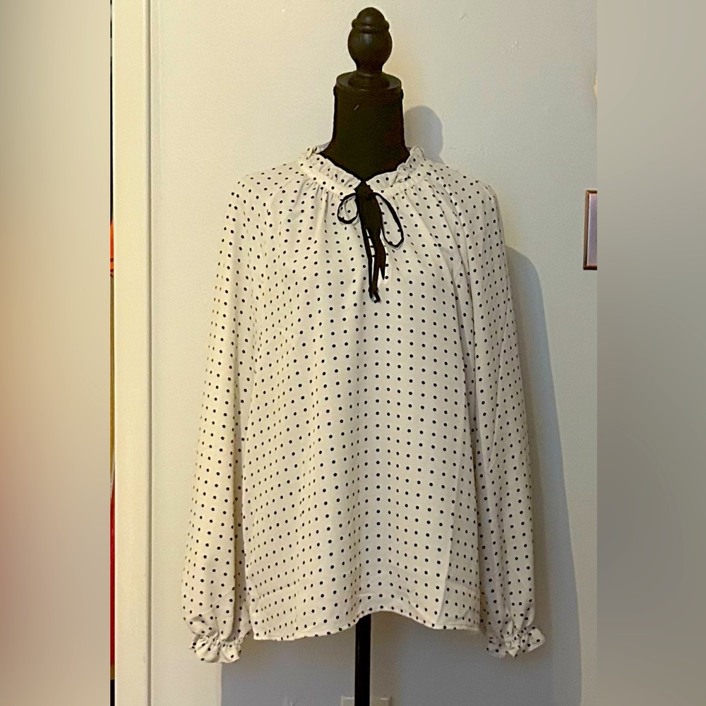 Ann Taylor Blouese